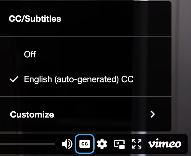 Vimeo captions