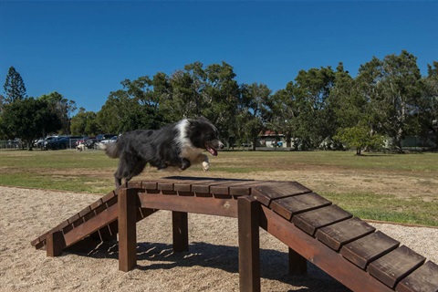 Compton Drive dog exercise park (9).JPG