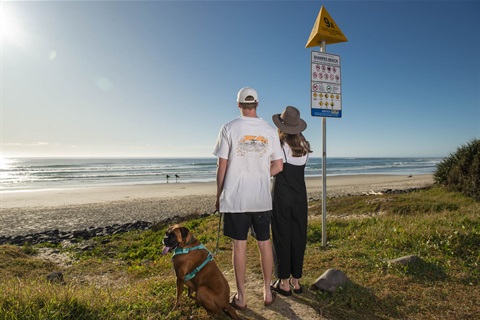 Dog on leash at Sharpes Beach